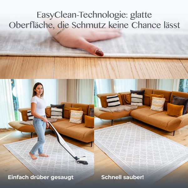 Reinigung des Teppichs Oslo per Hand und mit Staubsauger