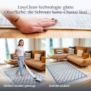 Reinigung des Teppichs Bern per Hand und mit Staubsauger