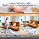 Teppich Kobe bei der Reinigung mit Sauger & Hand – EasyClean sichtbar