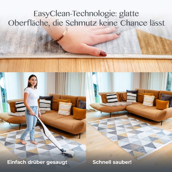 Teppich Kobe bei der Reinigung mit Sauger & Hand – EasyClean sichtbar