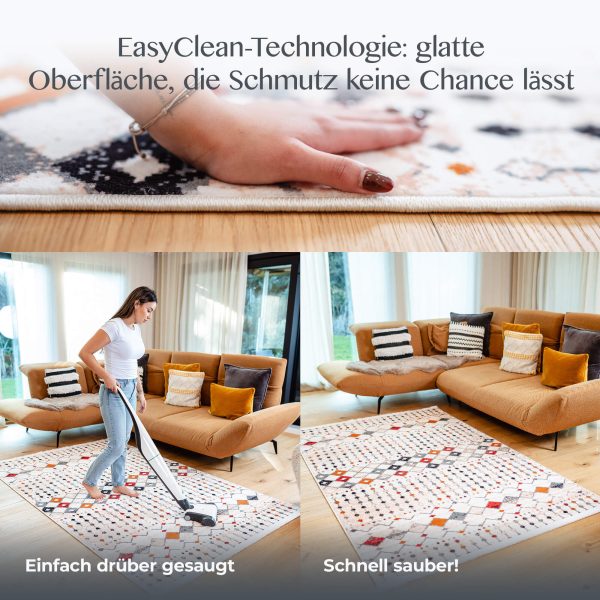 Reinigung des Teppichs Istanbul mit Staubsauger und per Hand
