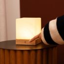 Yce hellbraune schnurlose Holzlampe mit gefrorenem Glas-wiederaufladbar, dimmbar, 100-Stunden-Batterie