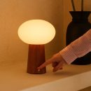 Max kastanienhalte Holzschnur und wiederaufladbare Lampe-umweltfreundliches Design