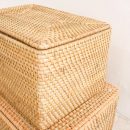 Aufbewahrungskorb mit Deckel – Regalkorb aus beigem Rattan – handgeflochtener Dekokorb GRAHA (2 Größen)