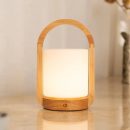 George hellbraune hölzerne wiederaufladbare Lampe in Kombination mit gefrostetem Glas und einem Griff