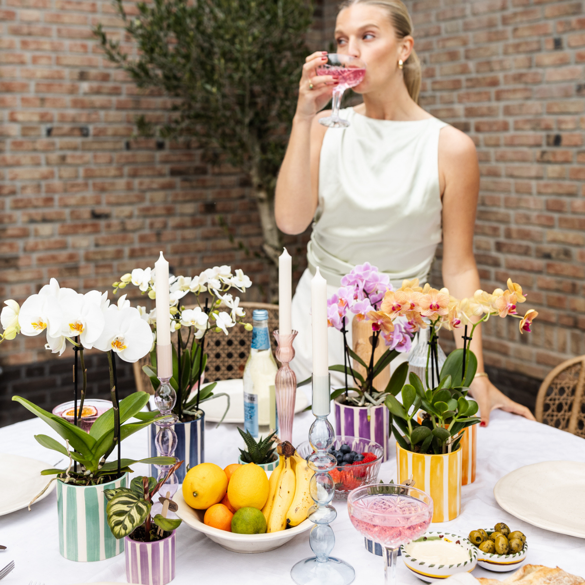 Phalaenopsis Orchidee Vienna | mit Topf Ø9 cm | Lila | by Kolibri – Bild 2