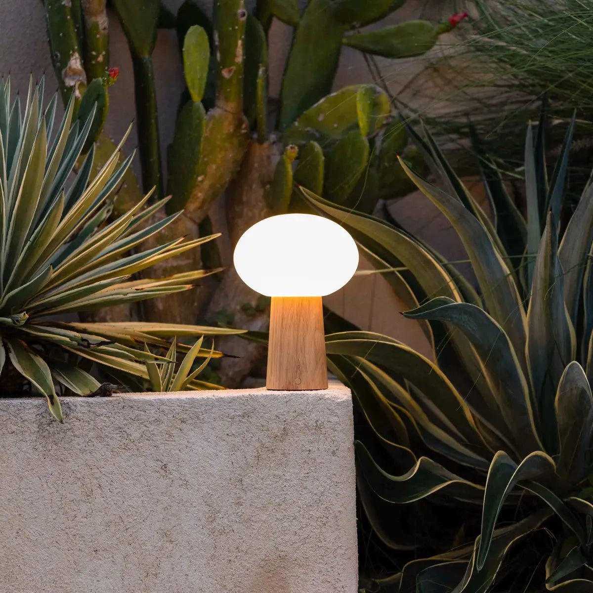 Max Hellbraune kabellose Tischlampe aus Holz | Wiederaufladbar, Glas und nachhaltiges Design – Bild 2